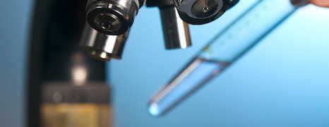 HPV - Papillomavirus